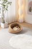 PANGPANG Cat Bed Pet Sofa With Solid Wood frame, Cashmere cover,Mid Size,Brown color