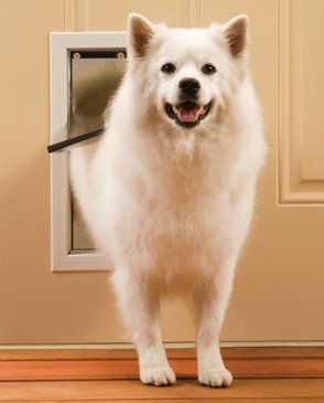 PetSafe Freedom Pet Door